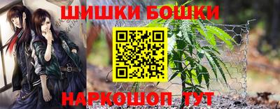 Альфа ПВП Будённовск
