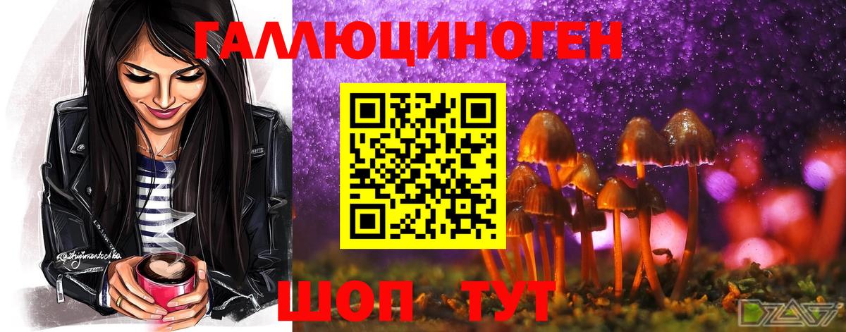 Псилоцибиновые грибы ЛСД  Псилоцибиновые грибы Psilocybine cubensis  Вход с VPN  Копейск 